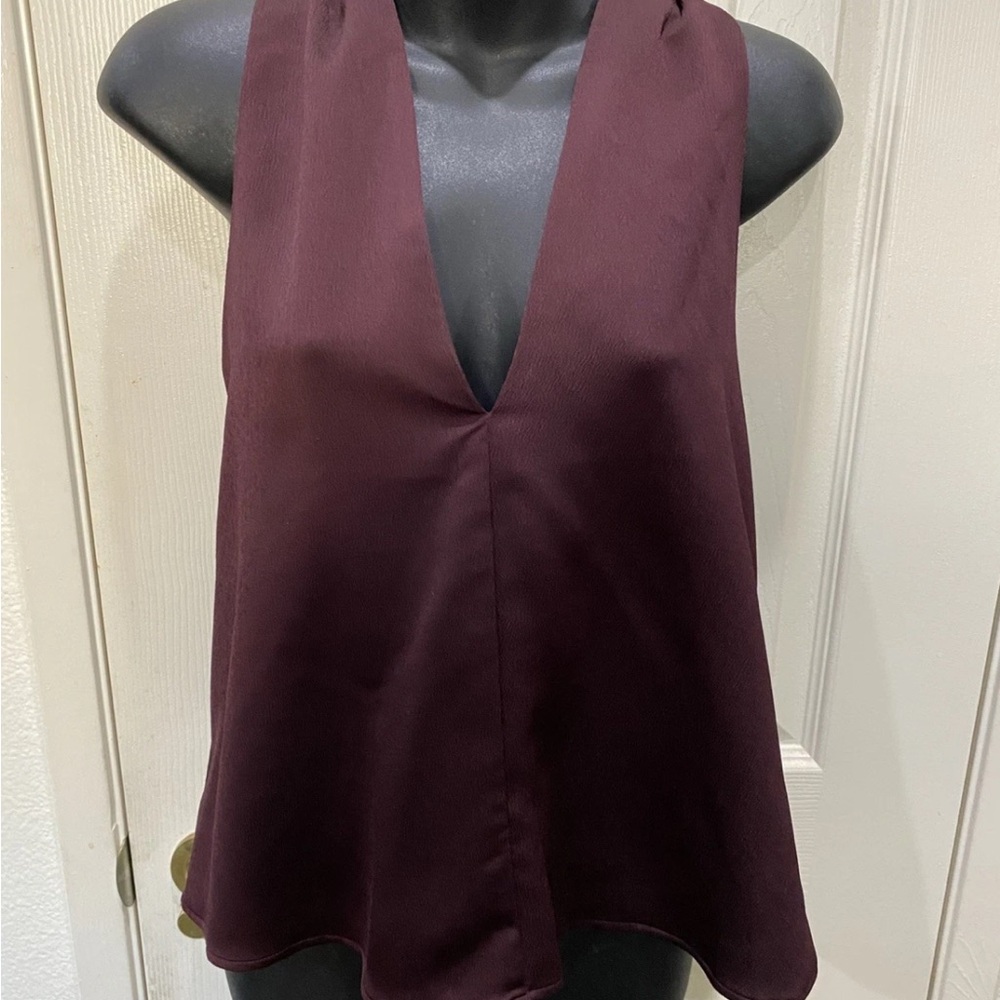 Express Deep V Sleeveless Camisole - Plum